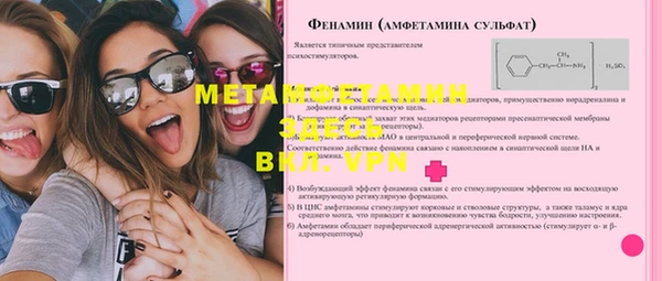 прущие грибы Корсаков