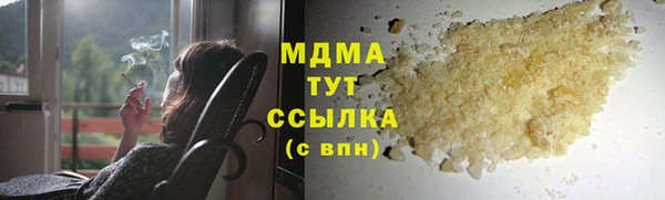 прущие грибы Корсаков