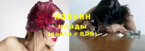 Альфа ПВП Коряжма