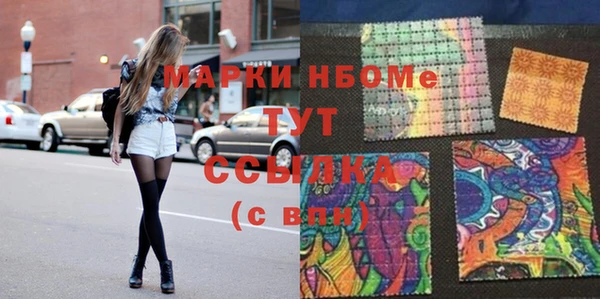прущие грибы Корсаков