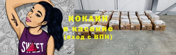 прущие грибы Корсаков