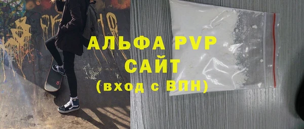 прущие грибы Корсаков