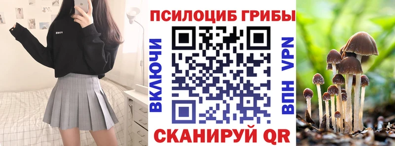 Псилоцибиновые грибы Psilocybe  Купить закладки  Жирновск 